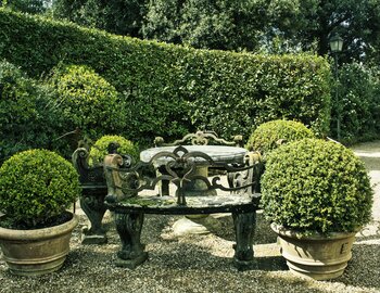 Les idées jardin d'Emilien : M. Emilien Sert